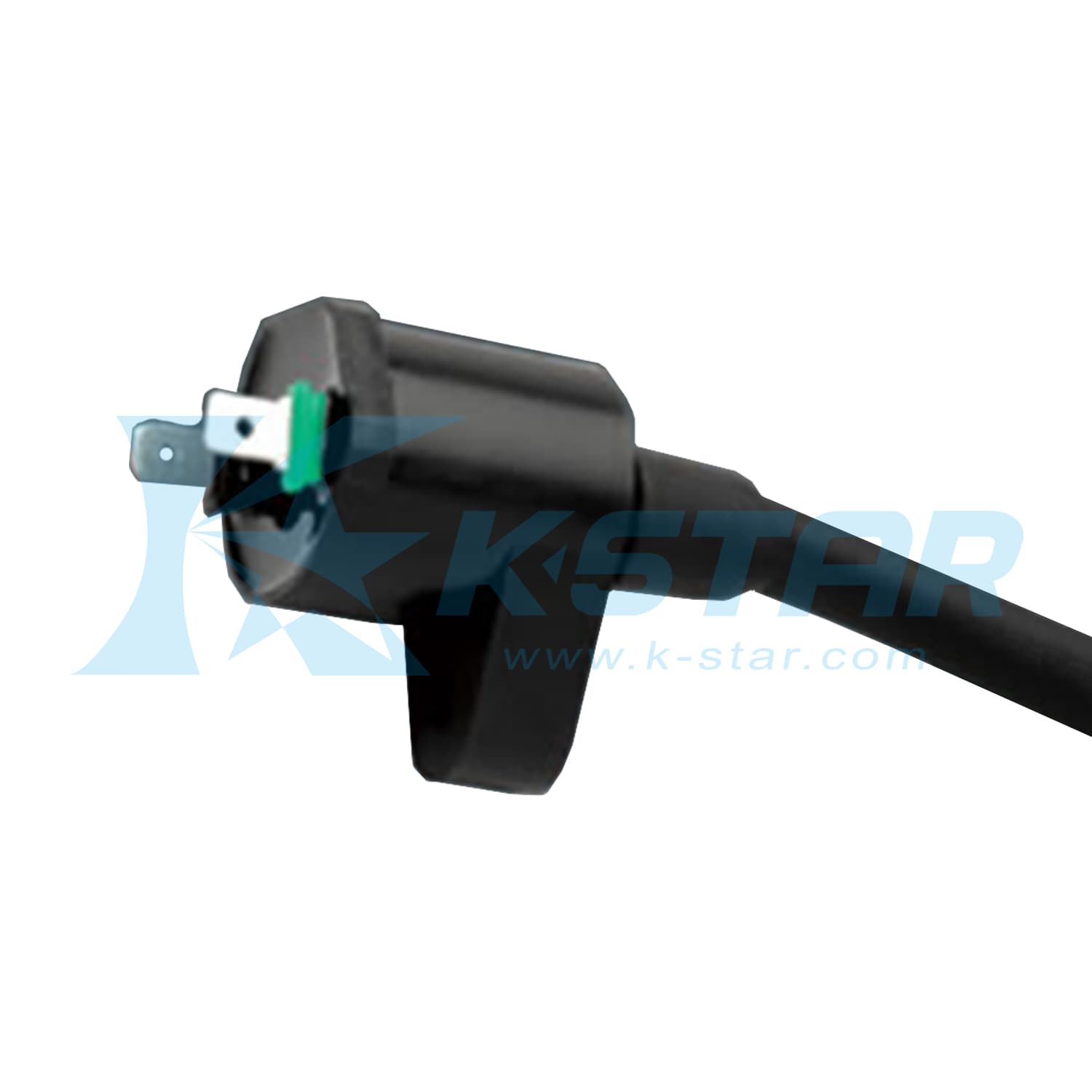 EX 200 IGNITION COIL