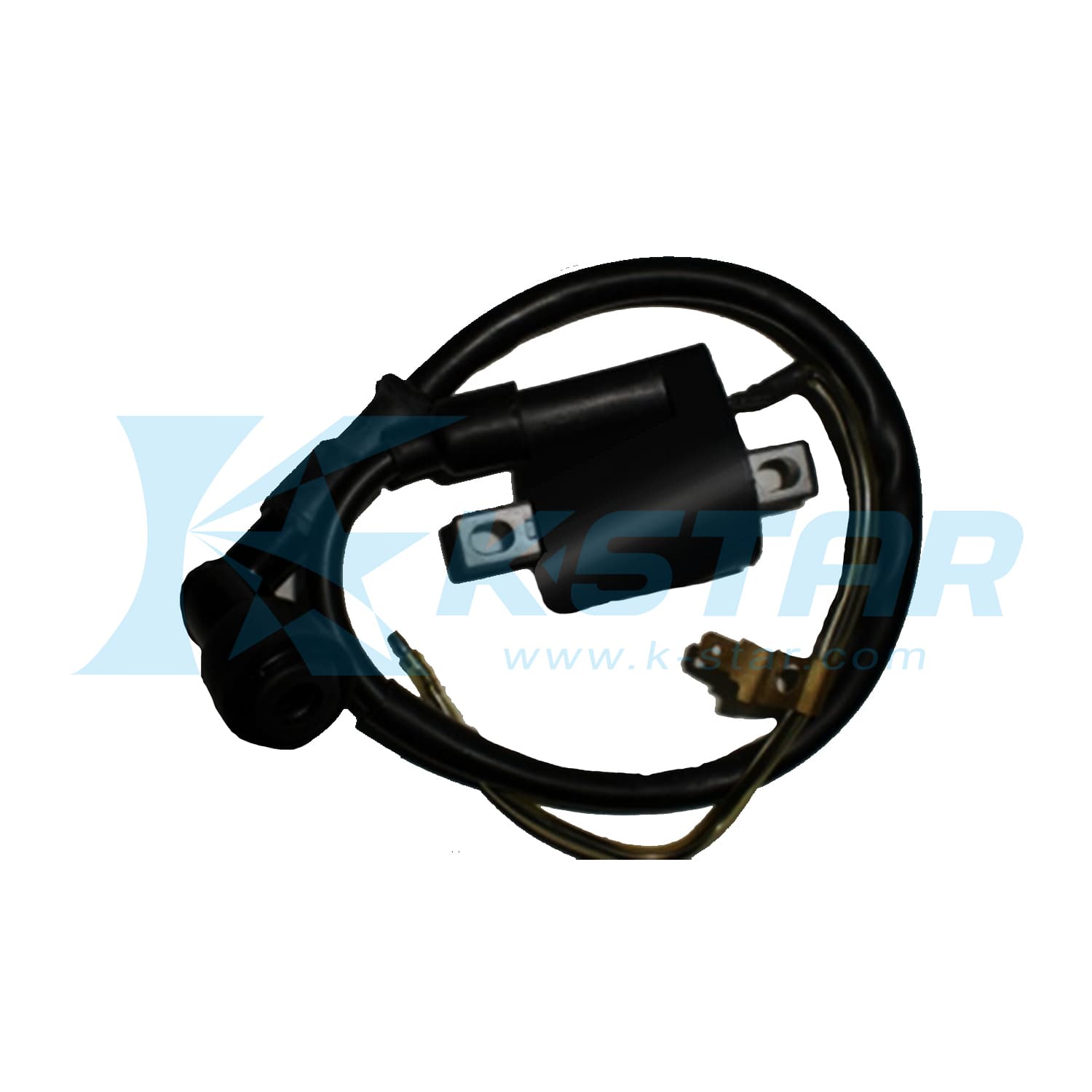 AKT 110 IGNITION COIL